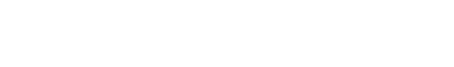 Logo INESData